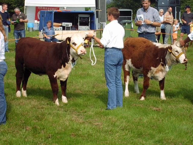 1.jpg - Hereford keuring 2005