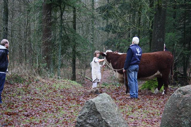 42.jpg - Filmopnamen met Edenhope bij het hunebed.