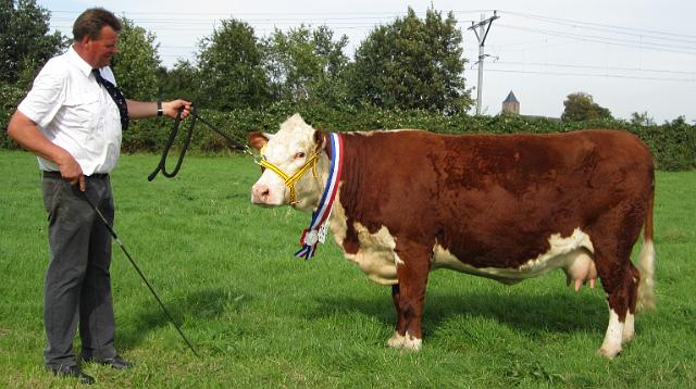 47.jpg - Kampioen vrouwelijke dieren 2011 SMH Vanessa 306.